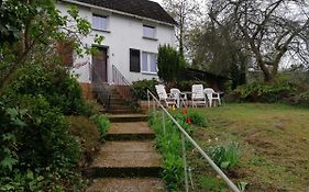 Barbora'S Home